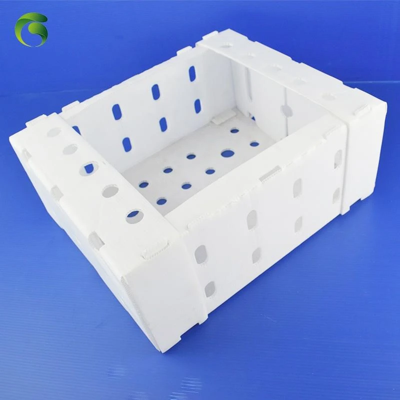 Grapes packing box pp coroplast