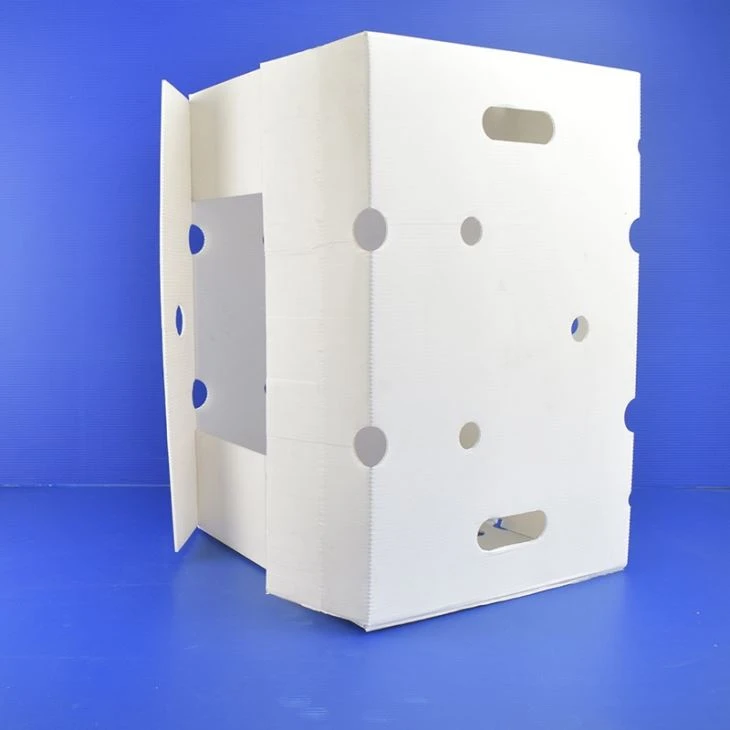 Grapes Packing Box Pp Coroplast