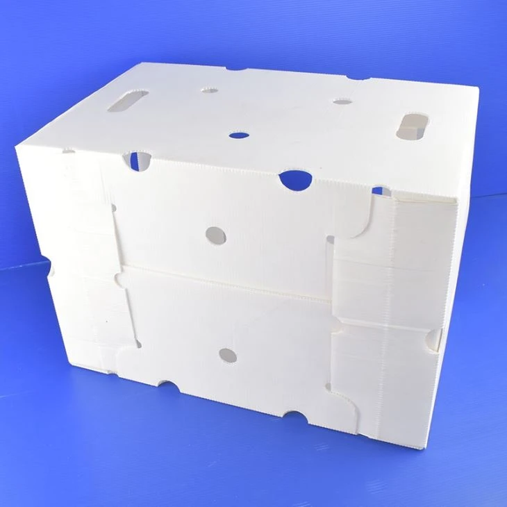 Grapes Packing Box Pp Coroplast