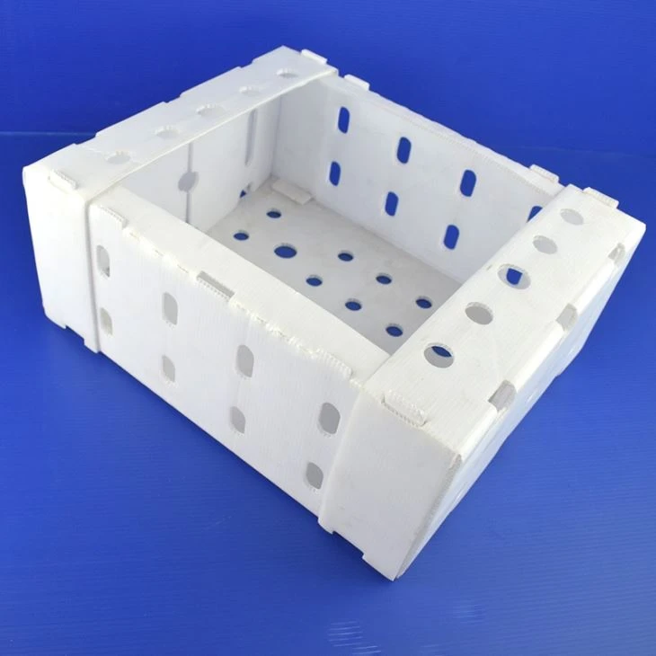 Grapes Packing Box Pp Coroplast